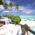Suedsee/Cook_Inseln/Aitutaki/Pacific_Resort_Aitutaki_Restaurant
