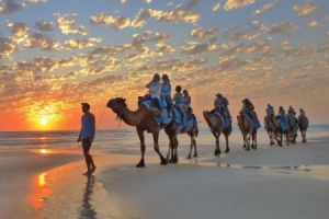 australien western australia cable beach camels450x300