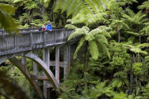 neuseeland whanganui national park chris mclennan450x300