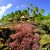 Suedsee/Tuamotu/Fakarava/Havaiki_Lodge_Beach_Bungalow