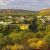 Alice Springs Ausblick über Stadt