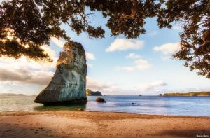 Neuseeland/Haka_Tours/Coromandel/Cathedral_Cove