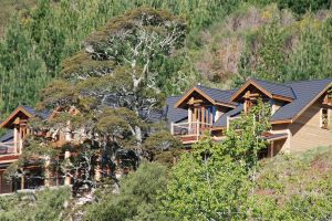 Neuseeland/Motueka/Stonefly Lodge/Außenansicht