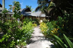 Südsee/RAR/Rarotonga_Palm Grove_Gartenanlage
