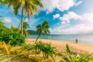 Südsee/Fidschi/TVU/Qamea_Resort_beach