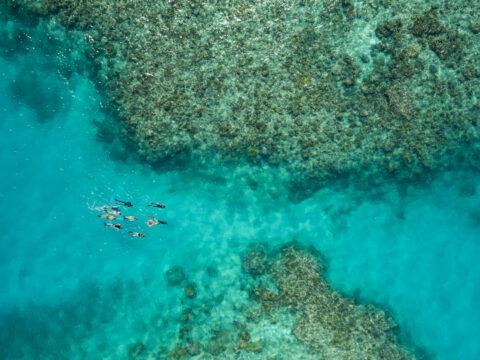 Great Barrier Reef, Cairns, Queensland