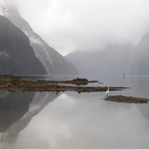 230334-milford-sound-fiordland