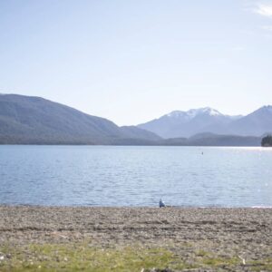 233979-te-anau-fiordland