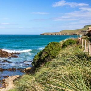 234144-dunedin-otago