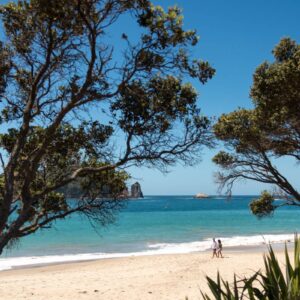 550896-hahei-coromandel