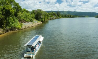 Daintree Nature & Wildlife Safari