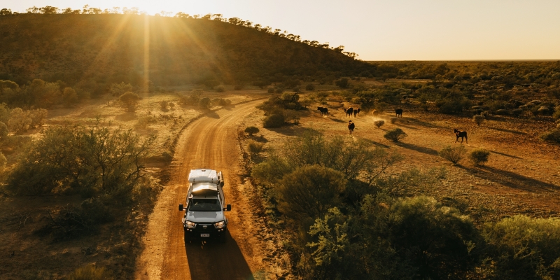 Australia Tours – Australien – 5 Person Camper (22) ©RedSands Campers