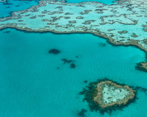 Australia Tours – Australien – Hardy Lagoon, Whitsundays – copyright Tourism Australia – 1027035-134