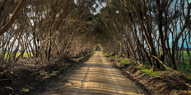 Australia Tours – Australien – Kangaroo Island – Road to CABN Cape St Albans – low res