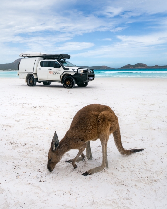 Australia Tours – Australien – RedSands – 5 Person Camper (4) ©RedSands Campers