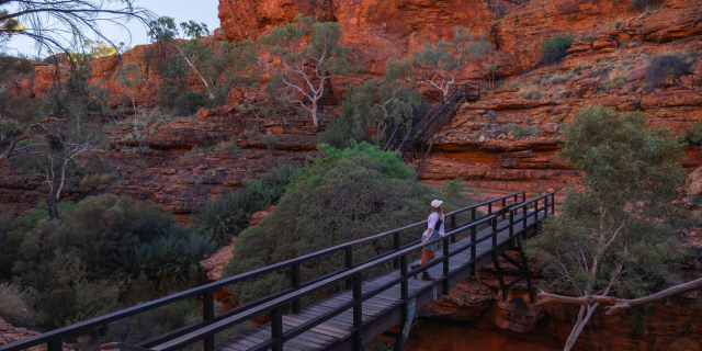 Australia Tours – Australien – © Tourism NT Kings Canyon Rim Walk 142165-35