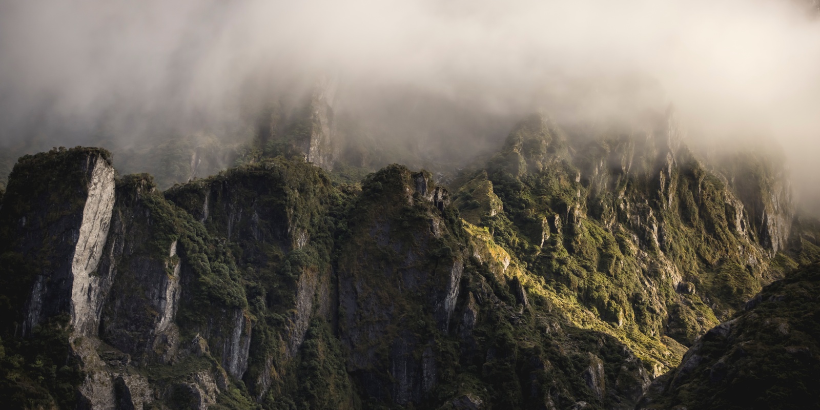 Australia Tours-Christchurch Wild Westcoast loop..234079-west-coast-west-coast