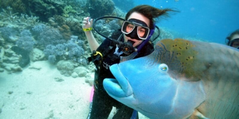 Tauchgang Great Barrier Reef