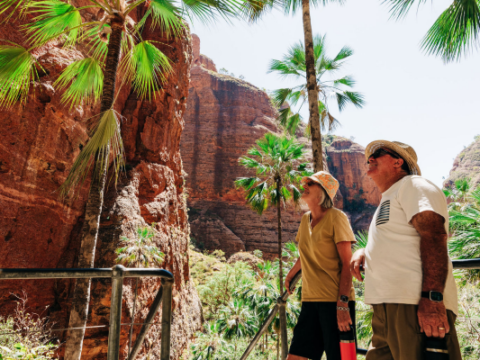 Australia Tours - HeliSpirit - Luxury Helisafari Kimberleys - BungleBungleGuidedTours-MiniPalms(7)