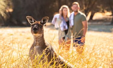 Von Kangaroo Island bis zur Great Ocean Road: luxuriöser Roadtrip