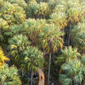 Australia Tours – Northern Territory – 1005058-Bitter_Springs__Elsey_National_Park-35 (1)