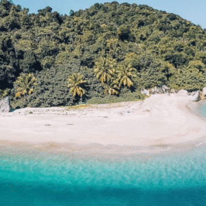 Australia Tours – Queensland Bedarra Island – Bedarra Beach Picnic