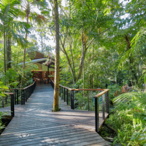 Australia Tours – Queensland Silky Oaks Lodge – Silky-Oaks-Lodge_The-Daintree_Lodge-Reception