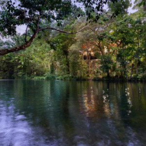 Australia Tours – Queensland Silky Oaks Lodge – Silky-Oaks-Lodge_The-Daintree_Silky-Oaks-Lodge-1