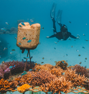 Australia Tours - Queensland - Wave-Length