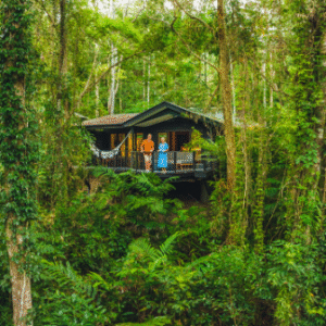 Australia Tours – Queensland copyright TEQ – 151777-2022_TNQ_Mossman_SilkyOaksLodge_