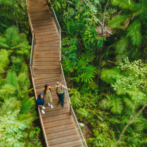 Australia Tours – Queensland copyright TEQ – 151799-2022_TNQ_Cairns_SkyrailRainfores (1)