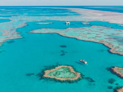 aerial view of Heart Reef