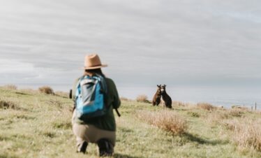 Highlights Kangaroo Island intensiv: 5 tierisch schöne Tage