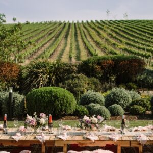 Australia Tours – Südaustralien – Golding Wines Adelaide Hills – 252791-166