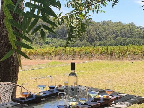 Australia Tours - Tourism Western Australia - Margaret River Mountford Winery 20240128_123514