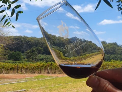 Australia Tours - Tourism Western Australia - Margaret River Mountford Winery 20240128_130059