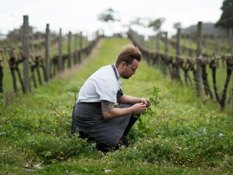 Australia Tours - Tourism Western Australia - Voyager Estate - 119266-2