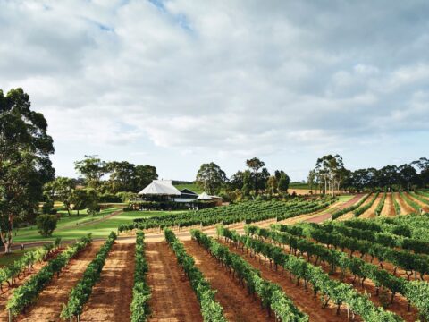 Australia Tours - Tourism Western Australia - Voyager Estate - 119268-2