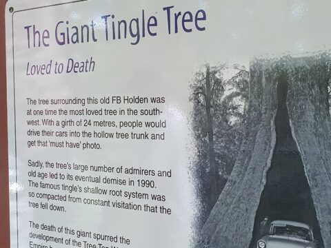 Australia Tours - Valley of The Giants Westaustralian Diana 2026-04-14 at 17.05.37