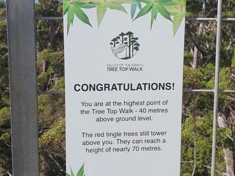 Australia Tours - Valley of The Giants Westaustralian Diana 2026-04-14 at 17.05.49