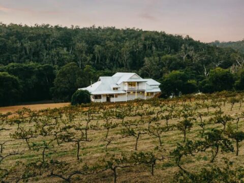 Australia Tours - Westaustralien - Ampersand Estate DJI_0332-1024x683