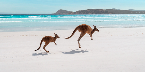 Australia Tours – Westaustralien – Lucky Bay, Cape Le Grand National Park – copyright Tourism Western Australia – 128541-56