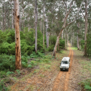 Australia Tours – Westaustralien – copyright Frances Andrijich – Pemberton 118548-56