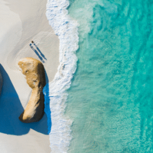 Australia Tours – Westaustralien – copyright Tourism Western Australia – Little Beach, Albany 118838-56