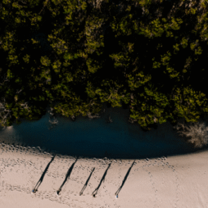 Australia Tours – Westaustralien – copyright Tourism Western Australia – Pemberton Discovery Tours 123360-56