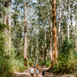 Australia Tours – Westaustralien – copyright Tourism Western Australia – Pemberton Discovery Tours 123369-56