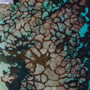 Australia Tours – Westaustralien – copyright Tourism Western Australia – Stark Bay, Rottnest Island 120481-56