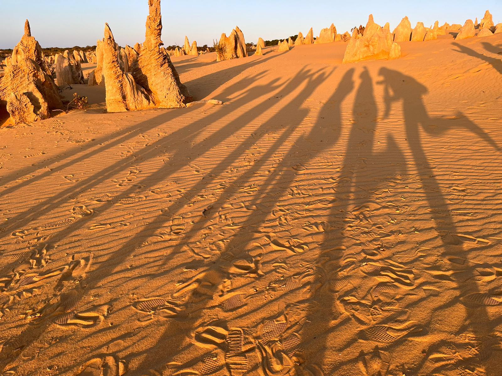 Australia Tours.Pinnacle.Beitrag.Bild6