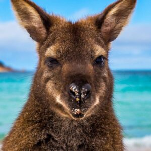 AustraliaTours_1003348-133_©TourismAustralia