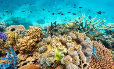 Die große Reise ans andere Ende der Welt Australien & Neuseeland: Sydney bis Auckland
